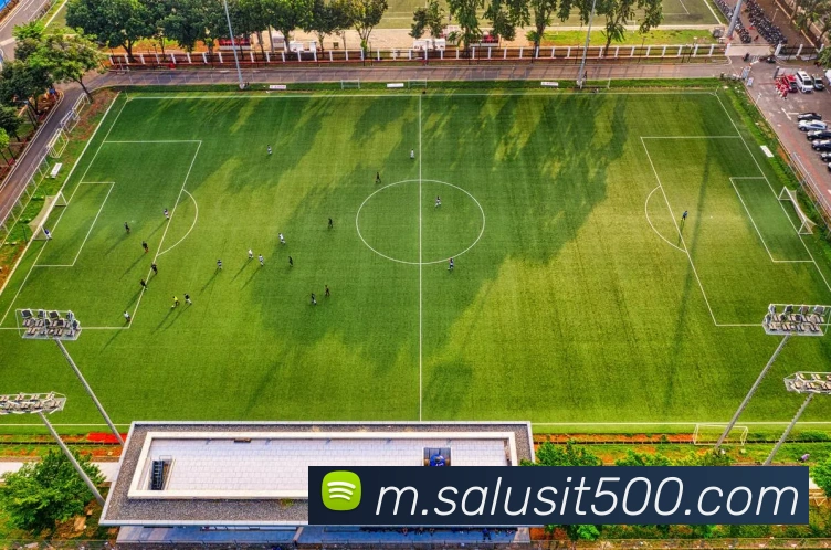 500彩票平台生态图